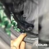 15750648322610.mp4
