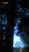15785457848920.webm