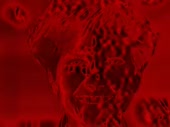 7edf146a0f3aa79b0e4dec41be72ac1f.webm