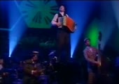 tiger lillies.mp4