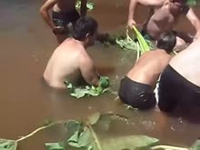 15866270633921.webm