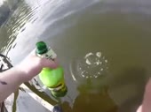 primanka.webm