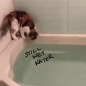 15796083011761.mp4