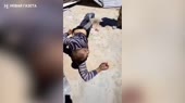 Дикая русня.mp4