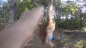 15759244057160.webm
