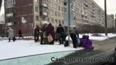 свиньи на мусорке.mp4
