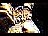 14683101364850.webm