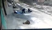 Стоит ли бояться дикого кабана.mp4