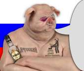 15262227573710.png