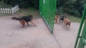15872341949410.webm