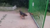 15872341949410.webm