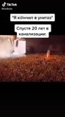 Кончил в унитаз.mp4