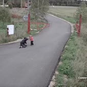 где леша то на квадрике 2.mp4