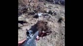 15864262511060.mp4