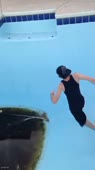 мистрелох.webm