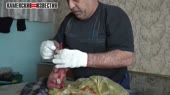 гмо-пидорашка.mp4