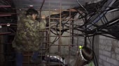 sus.webm