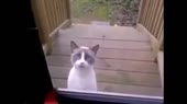 15737697022162.webm