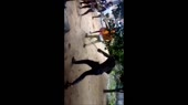15847490680850.mp4