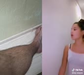 15745518709000.mp4