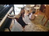 15708069023690.mp4