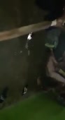 1587722645504.mp4