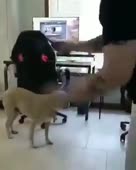 15867936573380.webm