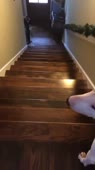 1584085509535.webm