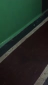 1.mp4