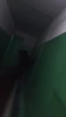 2.mp4