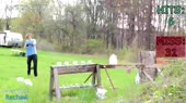 1586767903911.webm