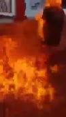 1587572902109.webm