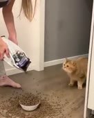 1583955863788.webm