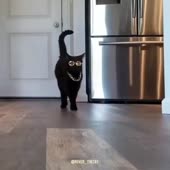 hQkxY1.mp4