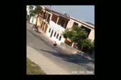 бибибиби.webm