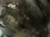 9113eb720a8e0e06f4d5e95efb0de3b5.webm