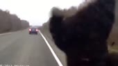 15724421197260.mp4
