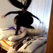 Отаку9.webm