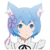 1886163273.png