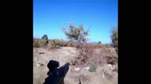 1552826318926.mp4
