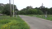 1471303687812.webm