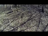 1510283520183.mp4