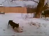цавафы.mp4