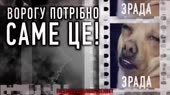 1438031274287.mp4