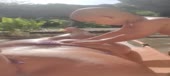 13937d0b231e199b7723ae118a716e2d-videomp4.mp4