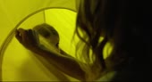 15652924218590.webm