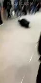 15644099252463.webm