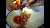 булыжники.webm