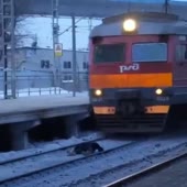 15871228674940.mp4