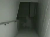 Скример.mp4